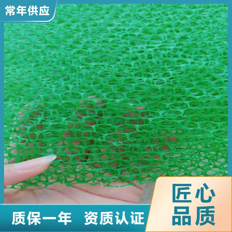 三維固土網墊