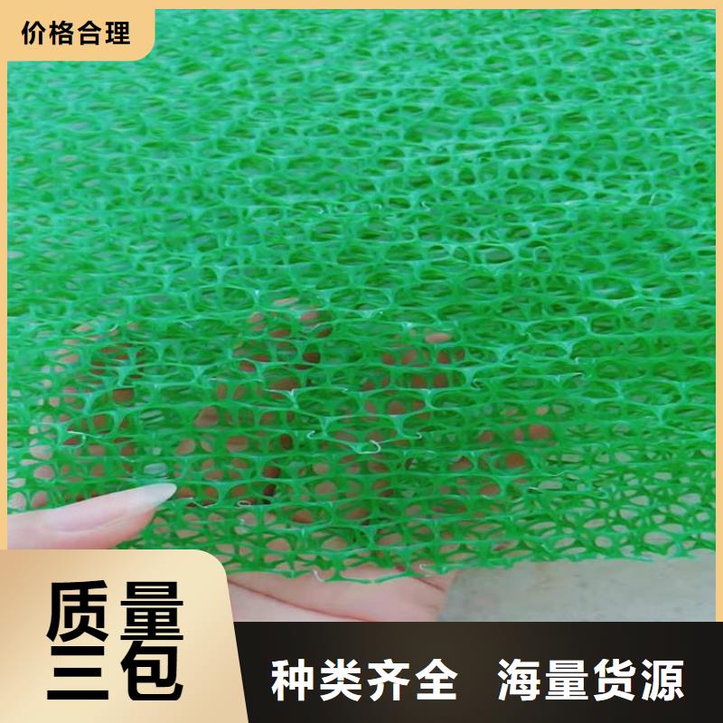 三維土工網墊案例介紹