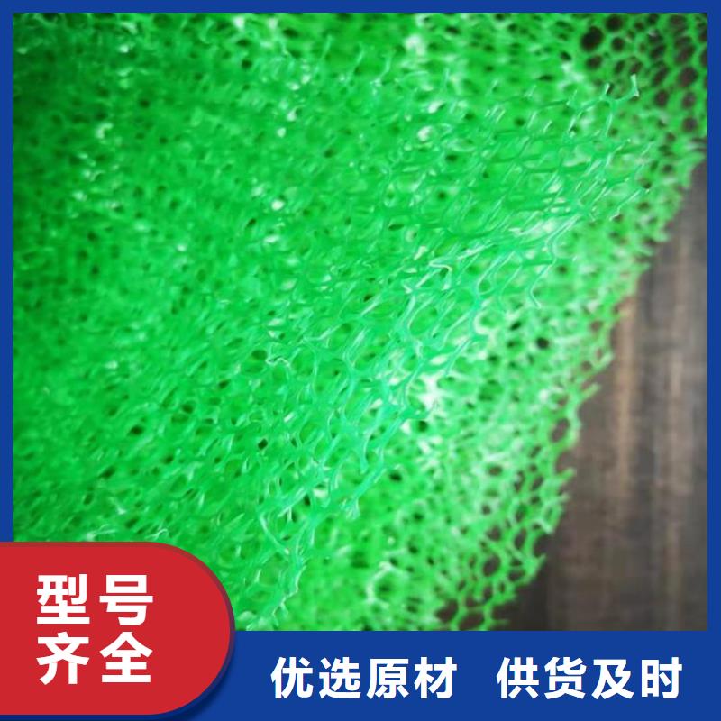 環保加筋三維土工網墊