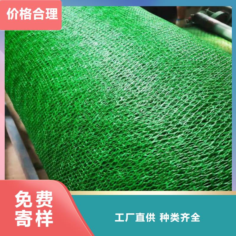 三維植被網塑料土工格柵現貨充裕
