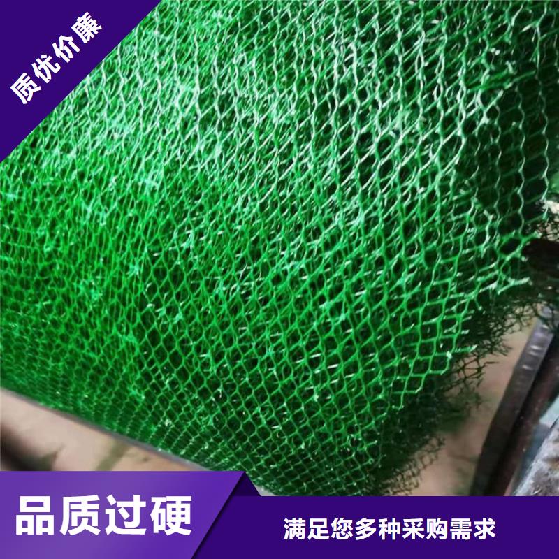 三維植被網塑料土工格柵現貨充裕