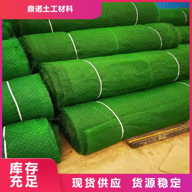 三維土工網墊-EM3三維固土網墊