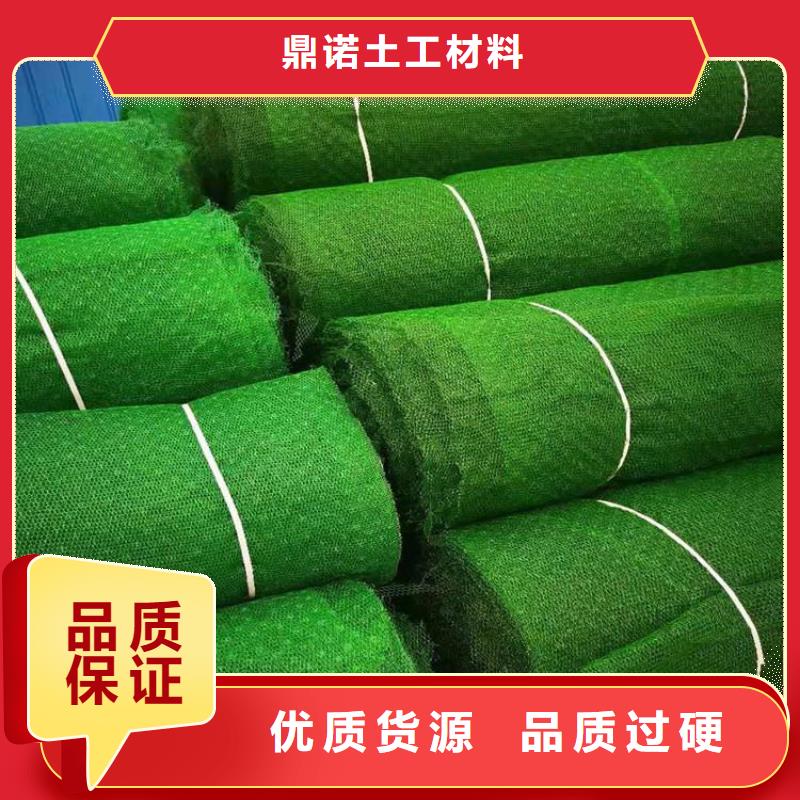 塑料綠化三維植被網(wǎng)