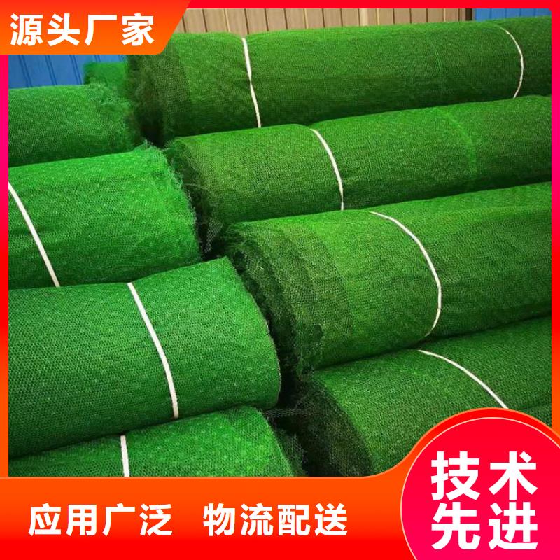 三維土工網(wǎng)墊-EM3三維固土網(wǎng)墊
