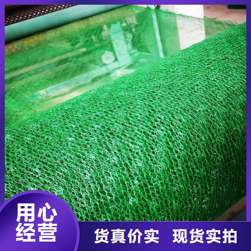 綠化護坡三維土工網墊