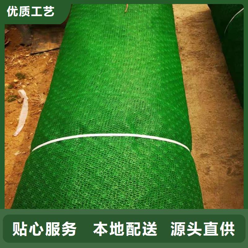 三維固土網(wǎng)墊邊坡EM5