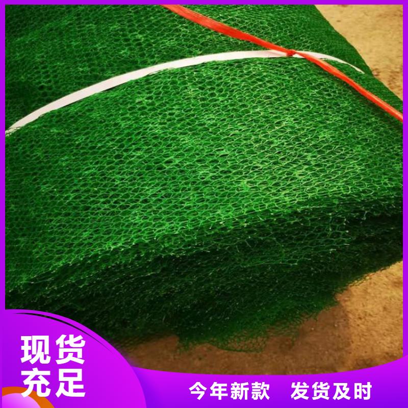 塑料固土三維植被網(wǎng)
