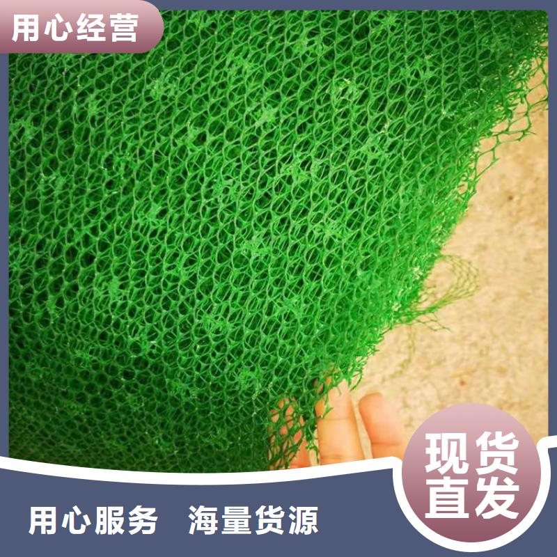 三维固土网垫三维固土网垫