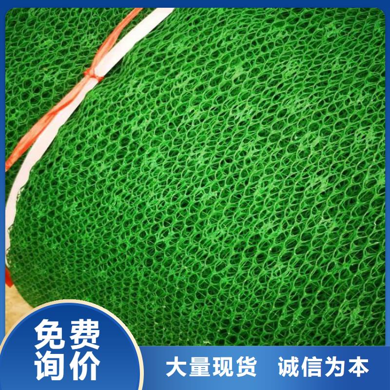三維植草網墊塑料固土