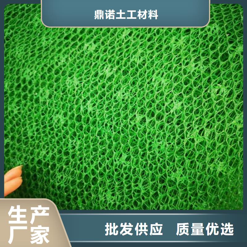 三維土工網墊-EM3三維植被網