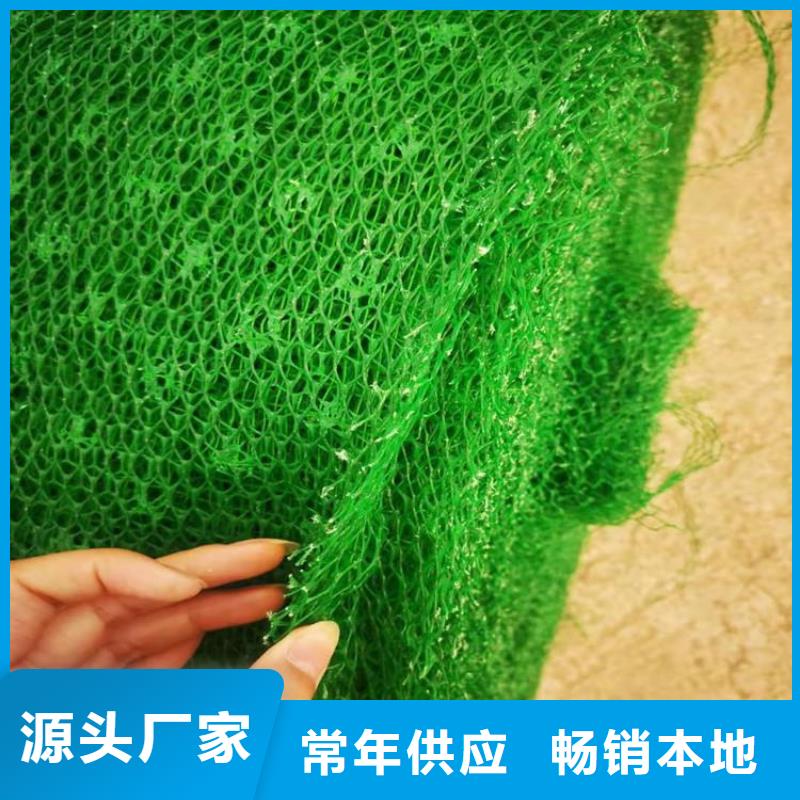 EM4三維護坡植草網墊廠家-公司代理
