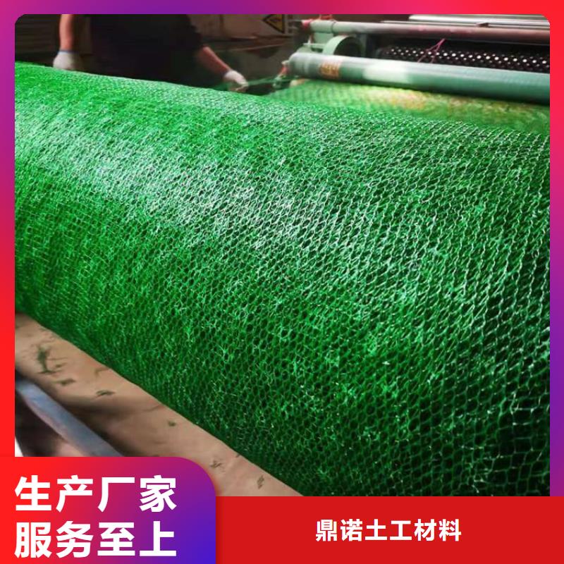 三维固土网垫三维加筋网垫