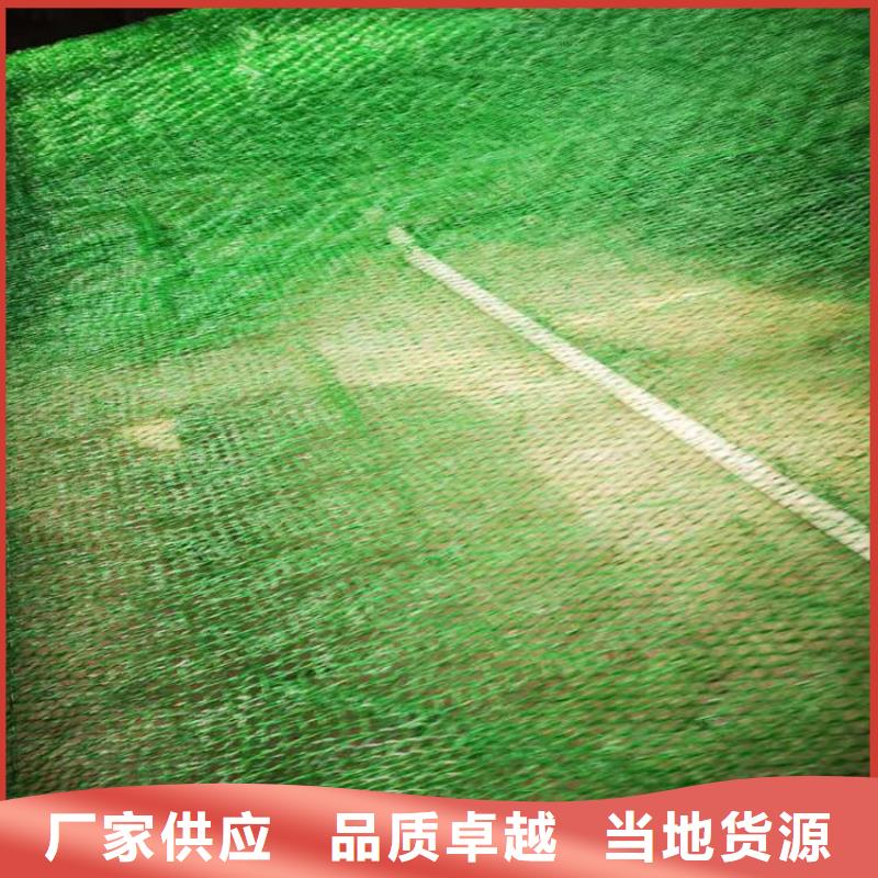 三維土工網墊邊坡固土