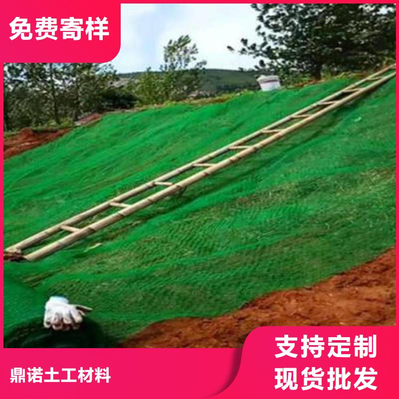 護坡草皮三維固土網墊