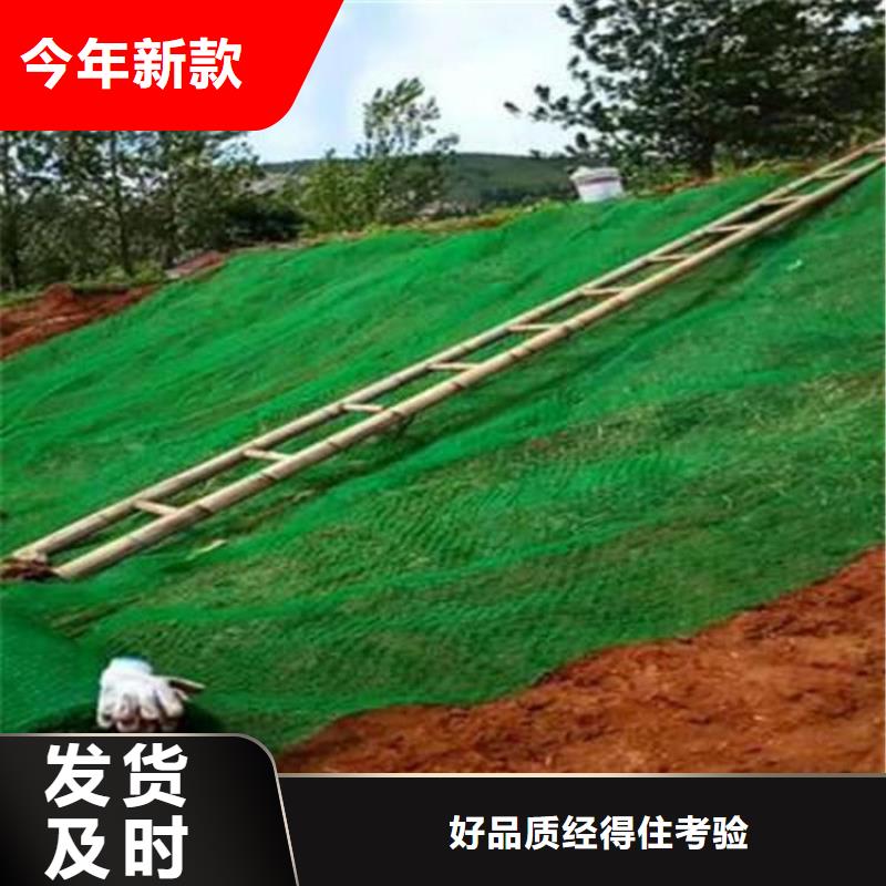 三維植被網-EM3三維固土網墊