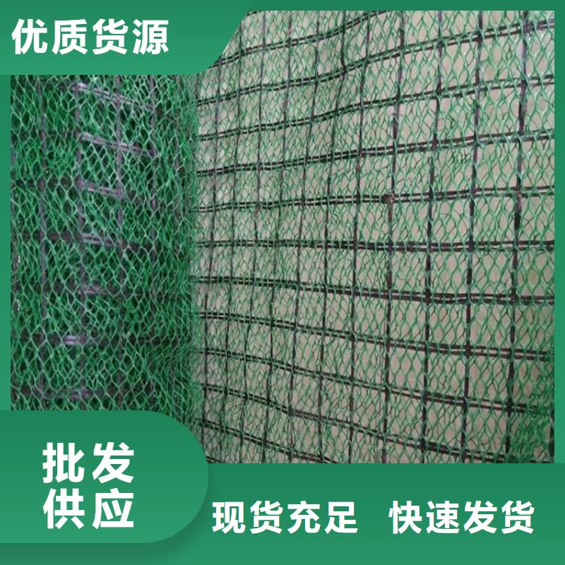 三维植被网-拉筋带价格低