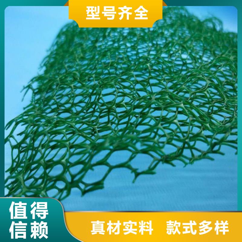 環保塑料三維土工網墊