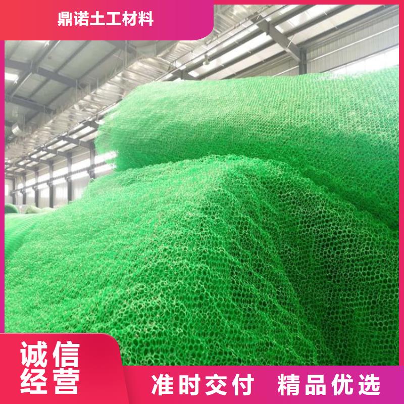 三維植被網(wǎng)-EM3三維固土網(wǎng)墊