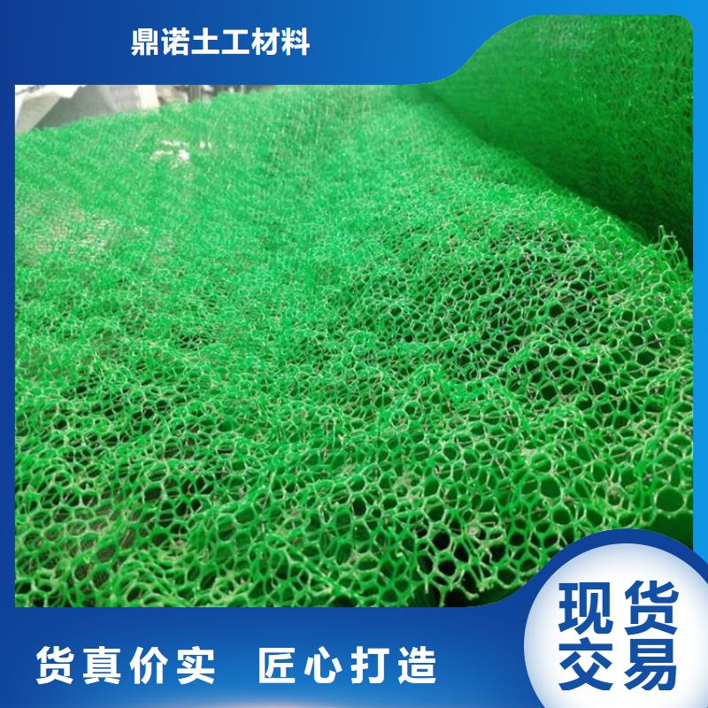 三維土工網(wǎng)墊-EM3三維固土網(wǎng)墊
