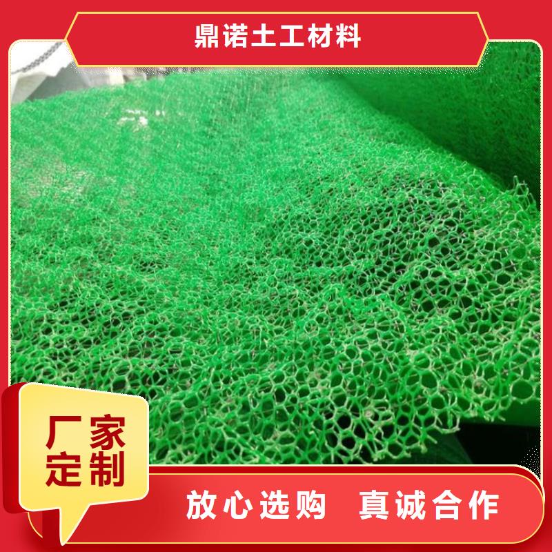 EM5三維護坡植草網墊代理