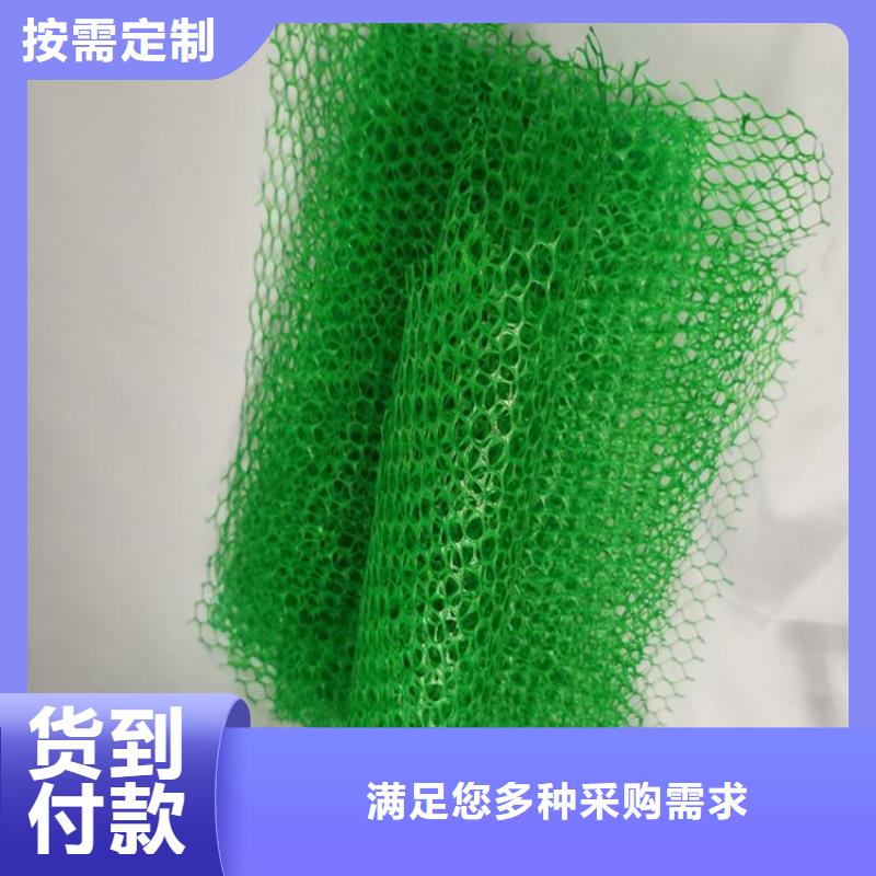 EM3三維加筋網(wǎng)墊-加筋三維植被網(wǎng)
