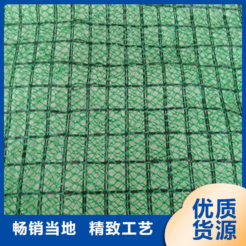 三維植被網塑料土工格柵現貨充裕