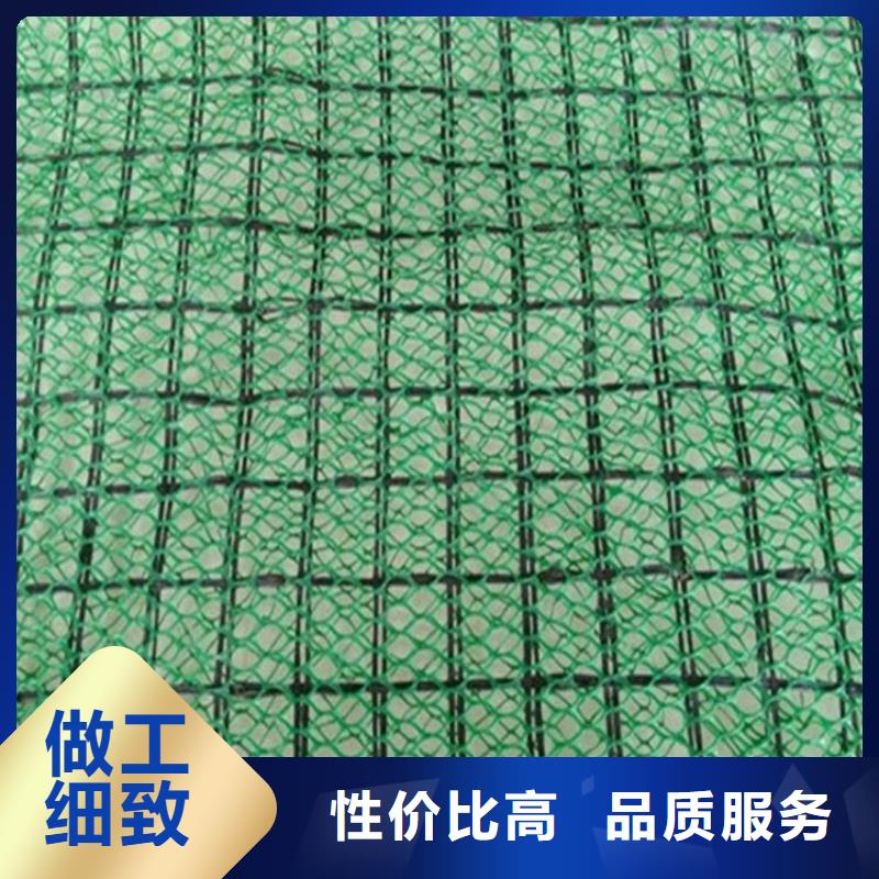 三維土工網墊-三維固土網墊