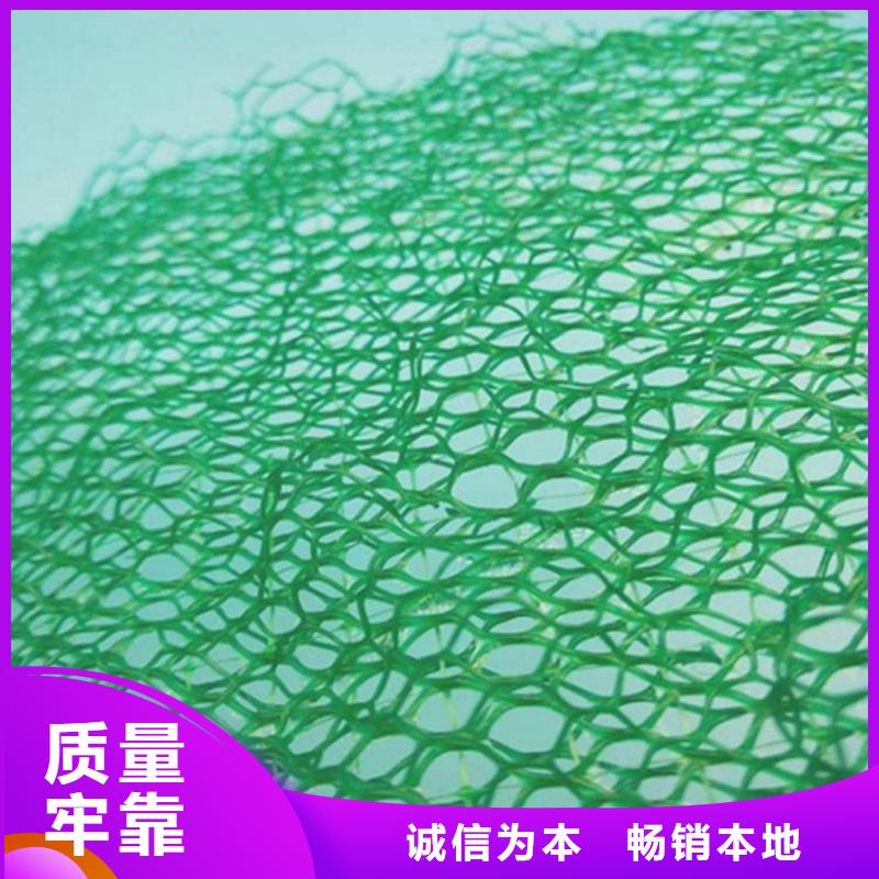 三维固土网垫三维固土网垫