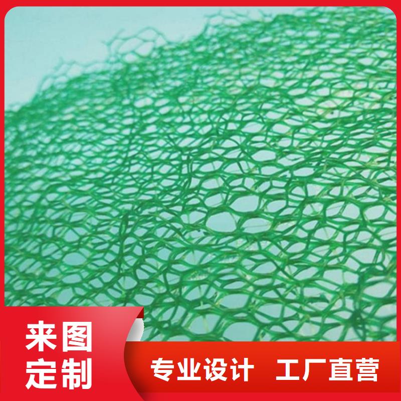 三維固土網(wǎng)墊三維加筋網(wǎng)墊