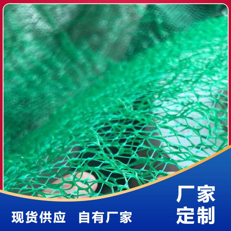 護坡EM2三維植被網