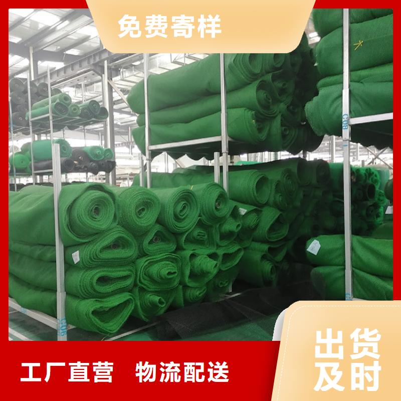 三維植被網(wǎng)-EM3三維固土網(wǎng)墊