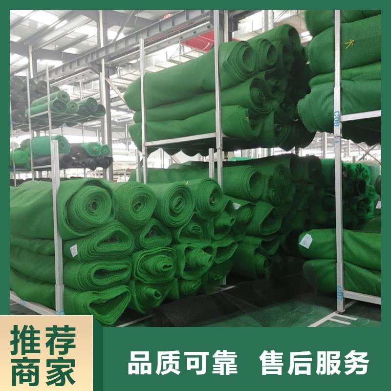 環保加筋三維土工網墊