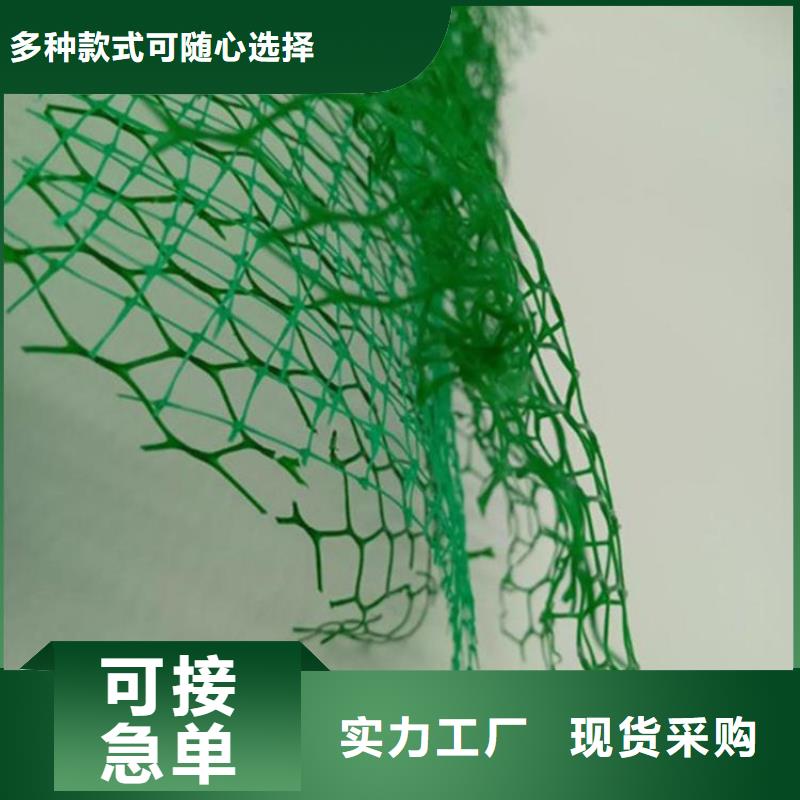 EM4三維護坡植草網墊廠家-公司代理
