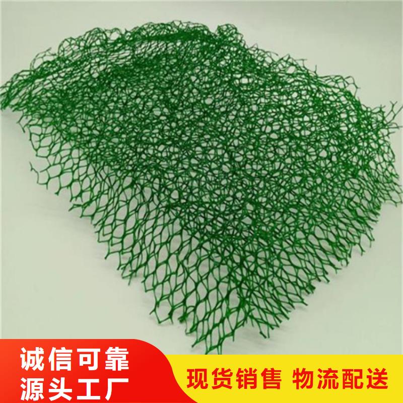 三維固土網(wǎng)墊邊坡EM5