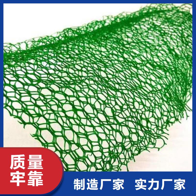 EM5三維護坡植草網墊代理