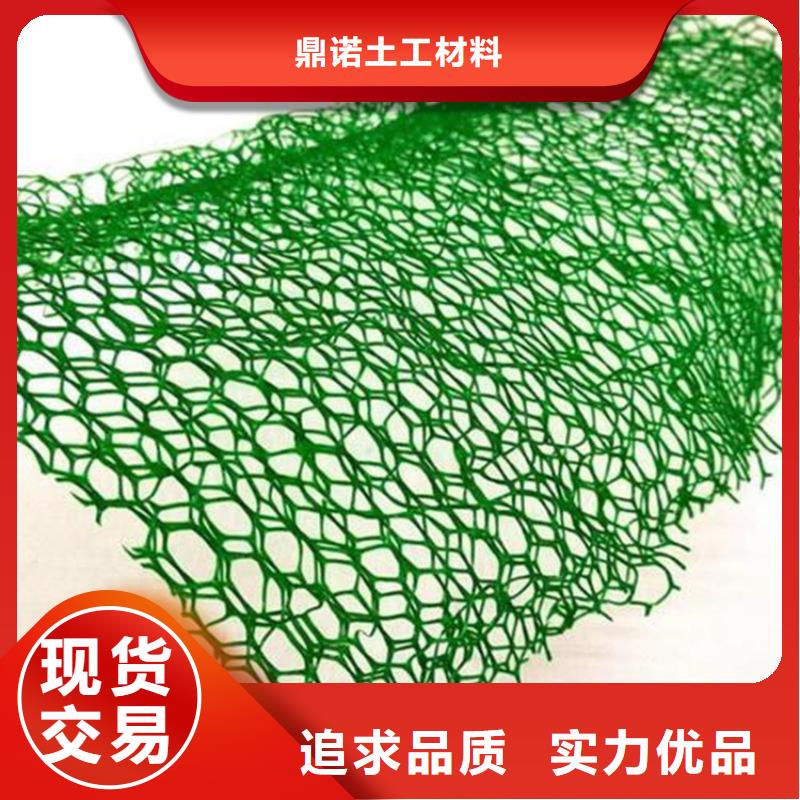 三維植被網塑料土工格柵現貨充裕