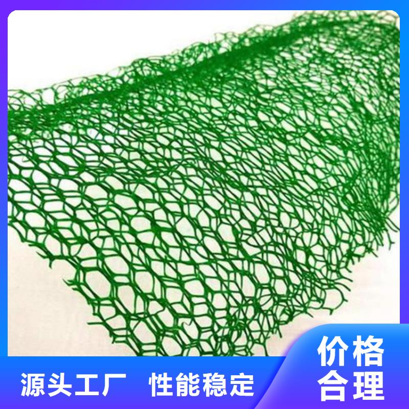 【三維植被網硬式透水管源頭廠家經驗豐富】