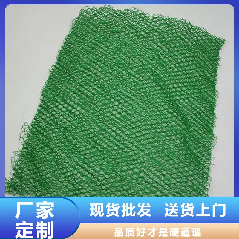 三維土工網(wǎng)墊-EM3三維固土網(wǎng)墊