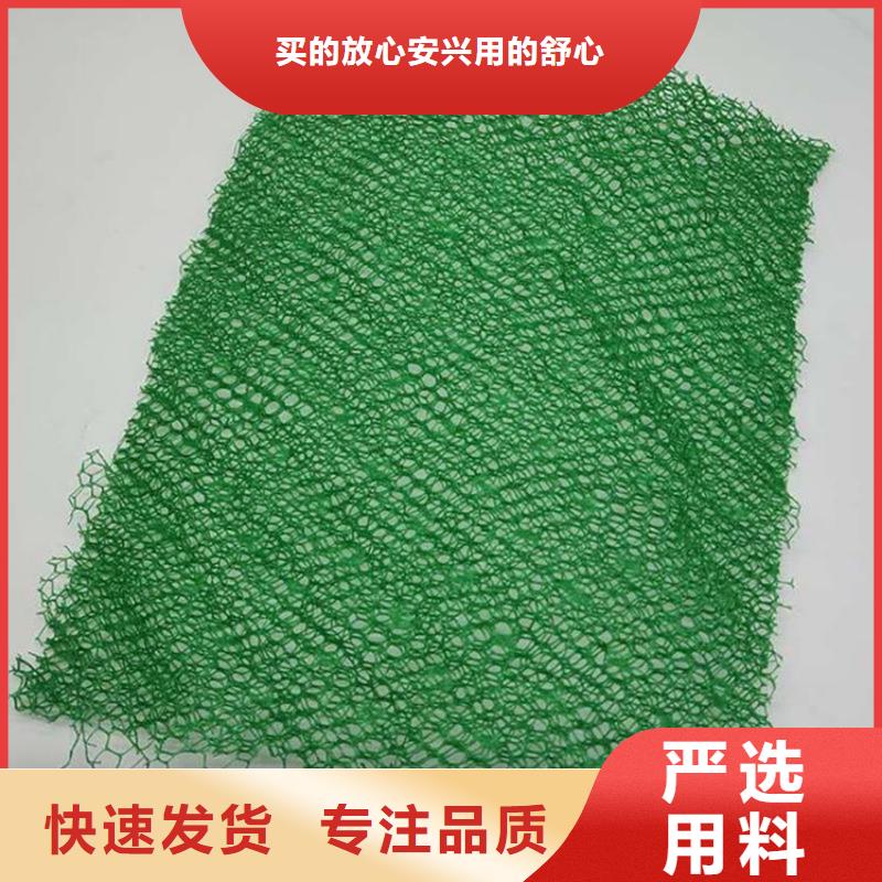 護(hù)坡植被植草網(wǎng)綠化護(hù)坡