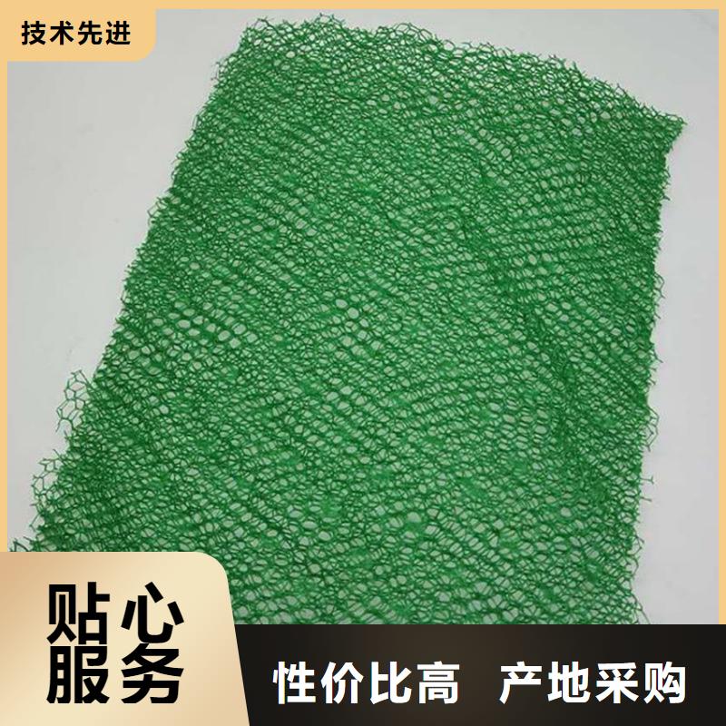 環保加筋三維土工網墊