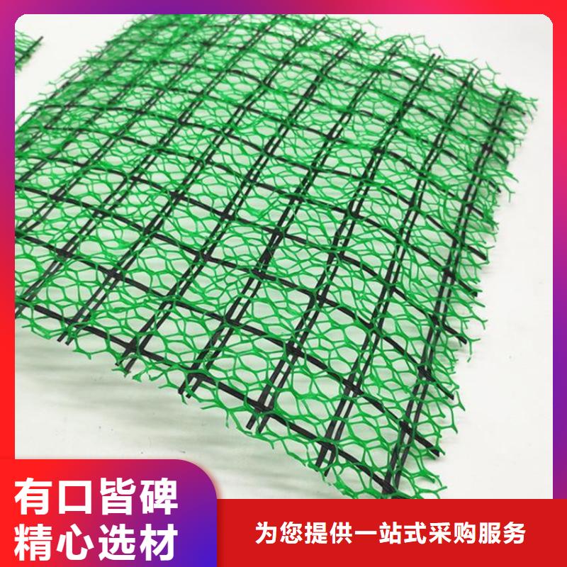 三維土工網墊-EM3三維固土網墊