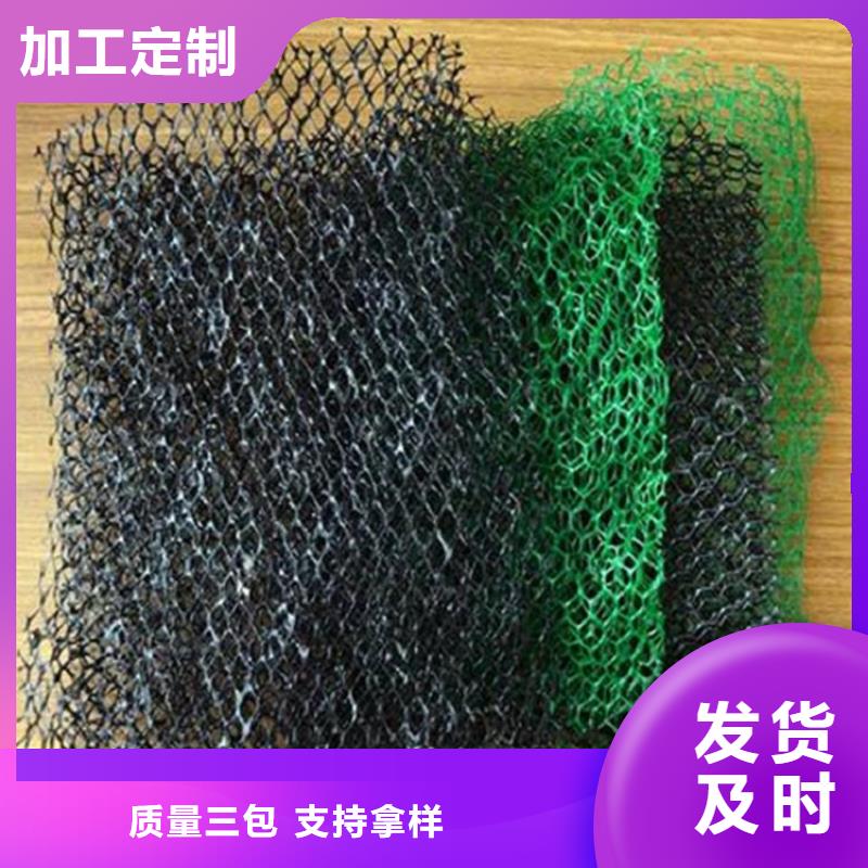 三維植被網(wǎng)-EM3三維土工網(wǎng)墊