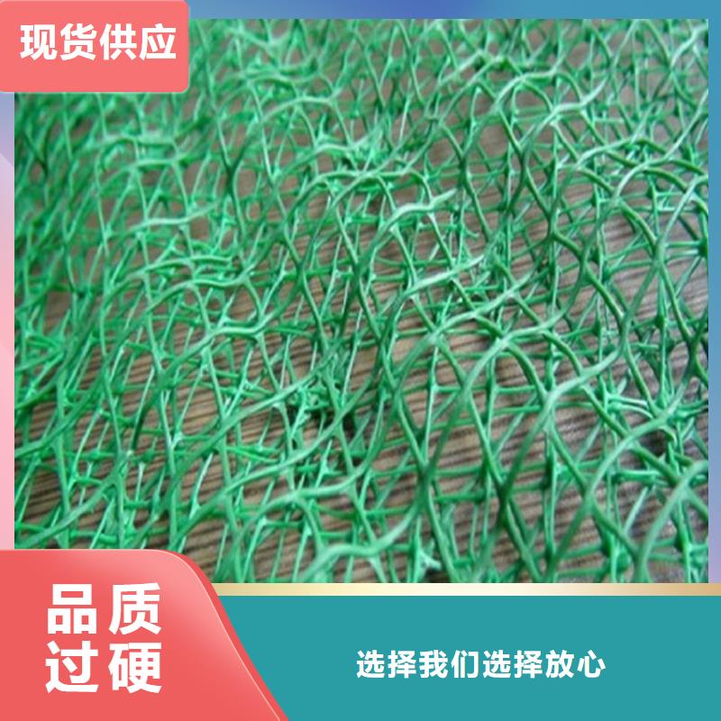 三維土工網(wǎng)墊-三維固土網(wǎng)墊