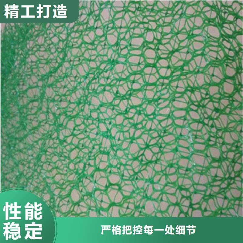 EM4三維護坡植草網墊廠家-公司代理