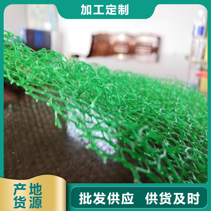 綠化護坡三維土工網墊