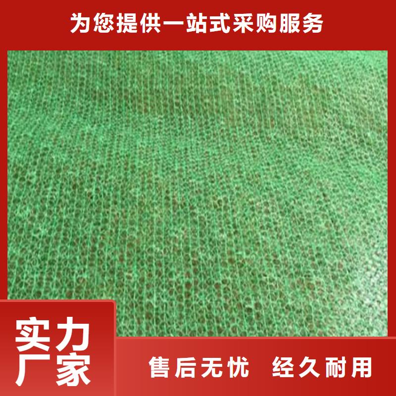 塑料固土三維植被網