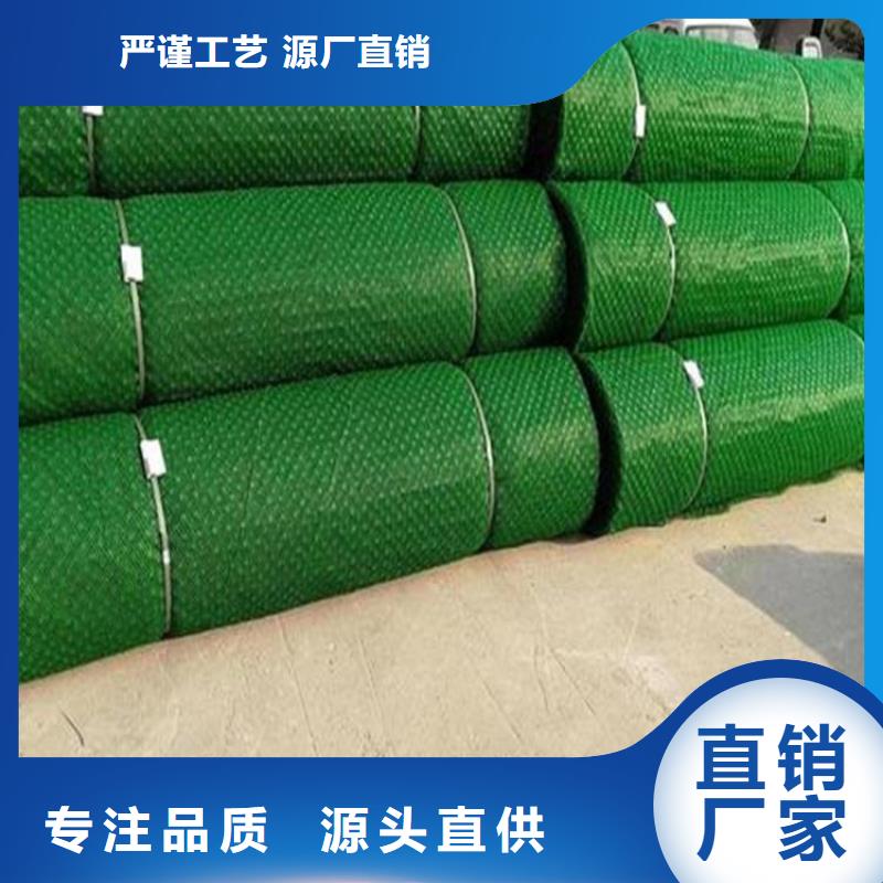 三維植被網土工膜質量優選