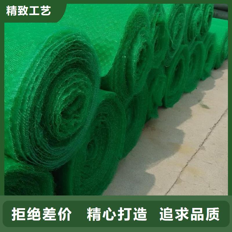 塑料綠化三維植被網(wǎng)