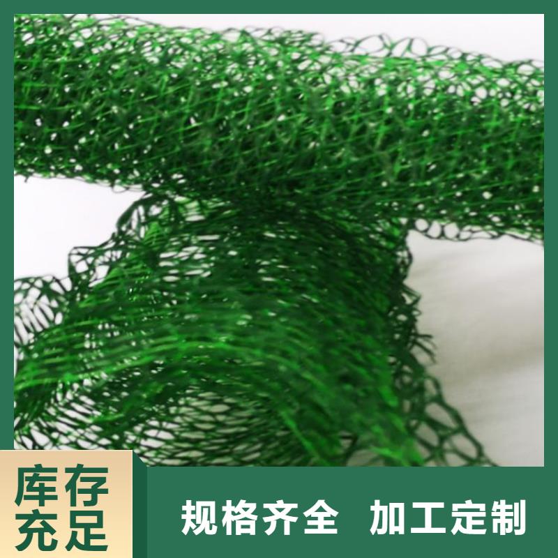 三維植被網(wǎng)塑料土工格柵現(xiàn)貨充裕