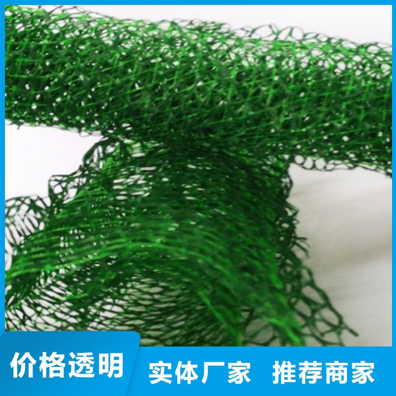 三維植被網土工膜廠家技術完善